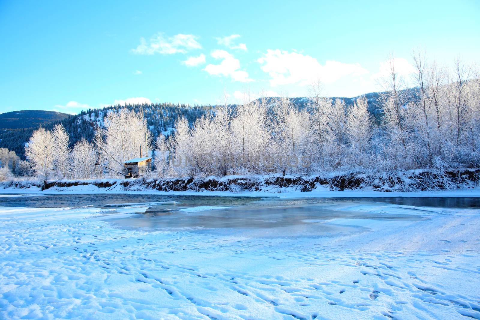 Frozen river with trees and mountain in the background