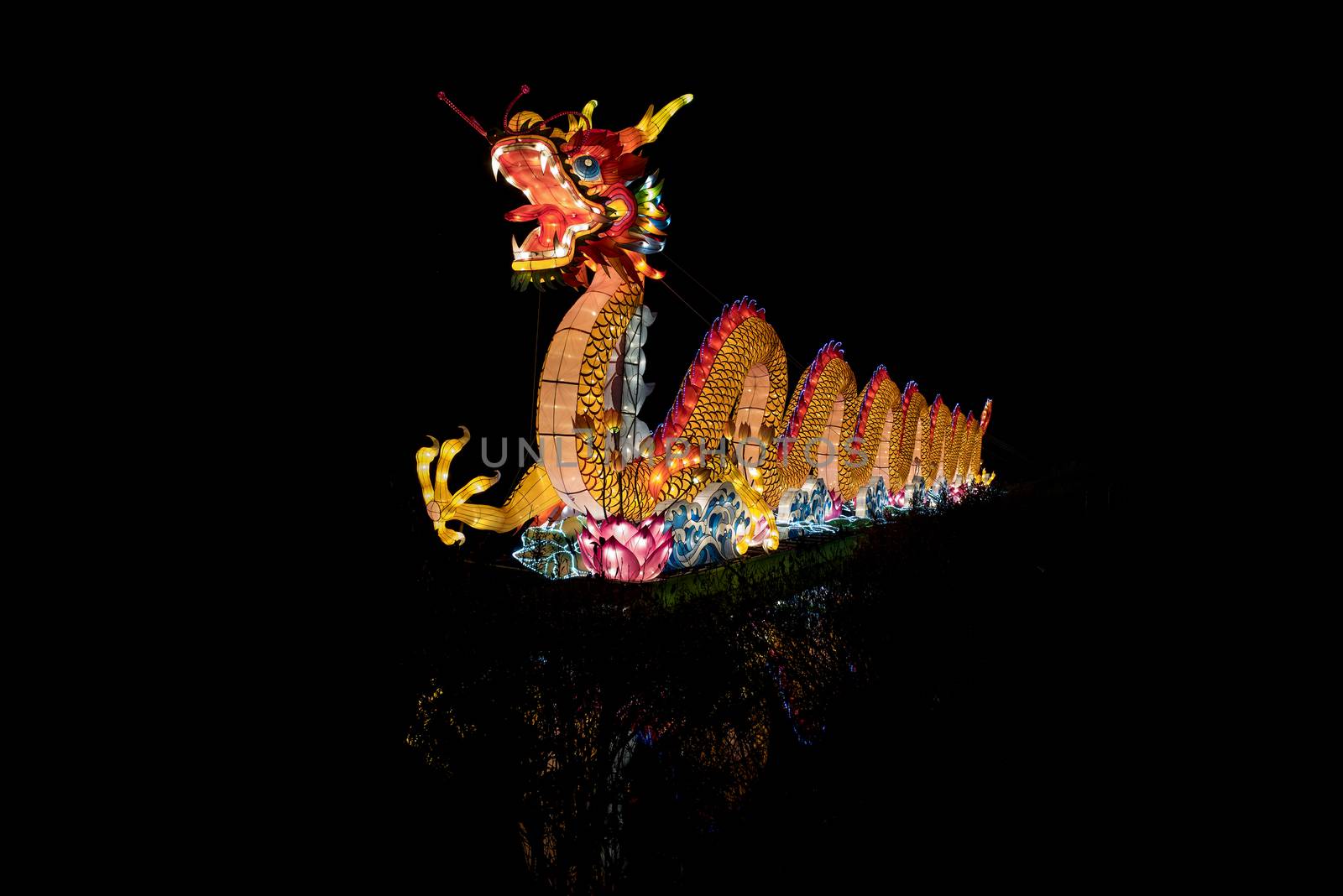 Chinese Dragon Lantern by pazham