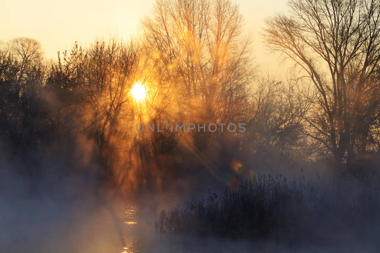 sunrise on hunting lake,dawn, hunting wilderness area