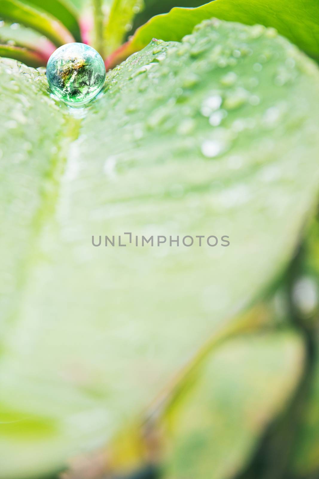 abstract image of small world in nature, Environment Conservative concept