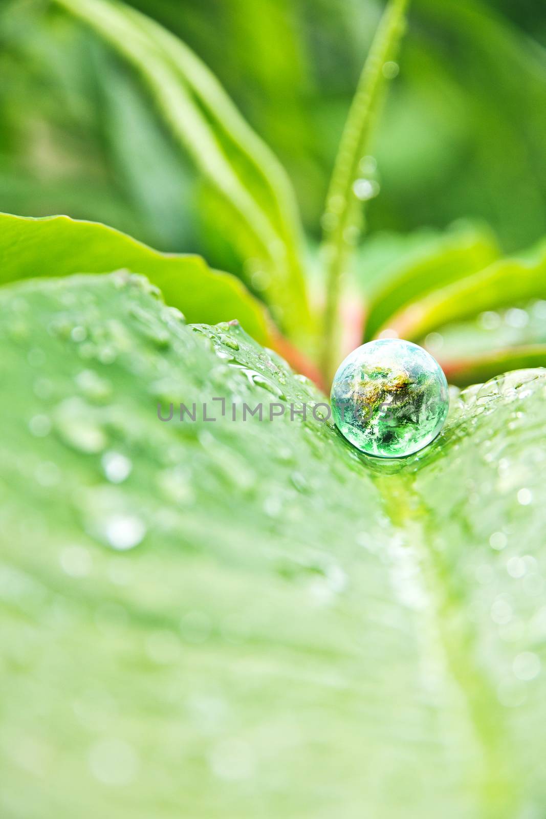 abstract image of small world in nature, Environment Conservative concept