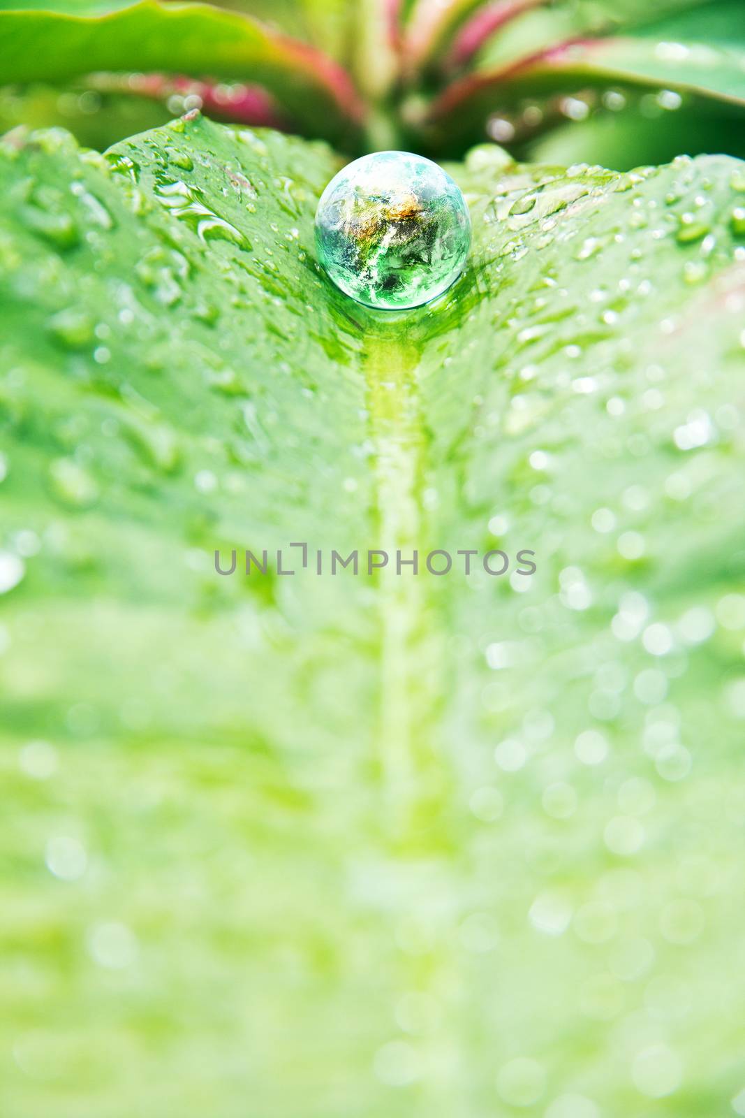 abstract image of small world in nature, Environment Conservative concept