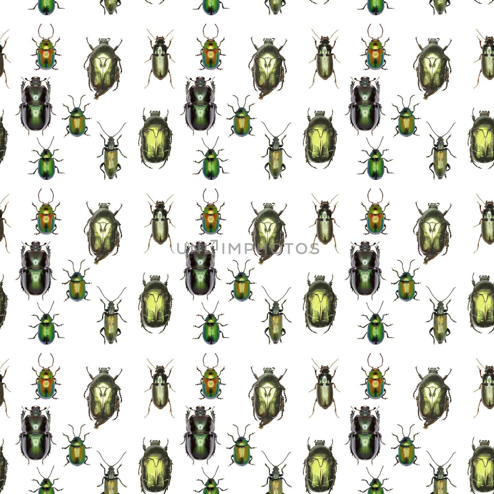 Green Gold Pattern - Set of Green Beetles