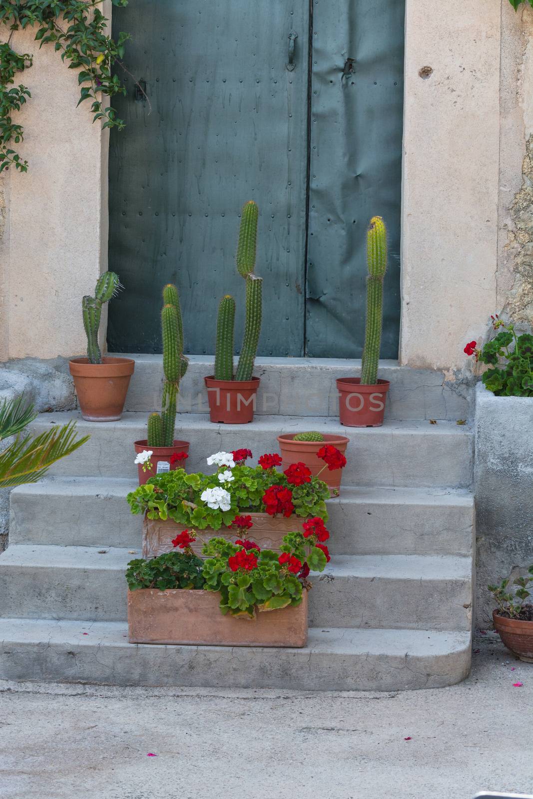 Mediterranean motif, stone staircase with flower pots and cacti