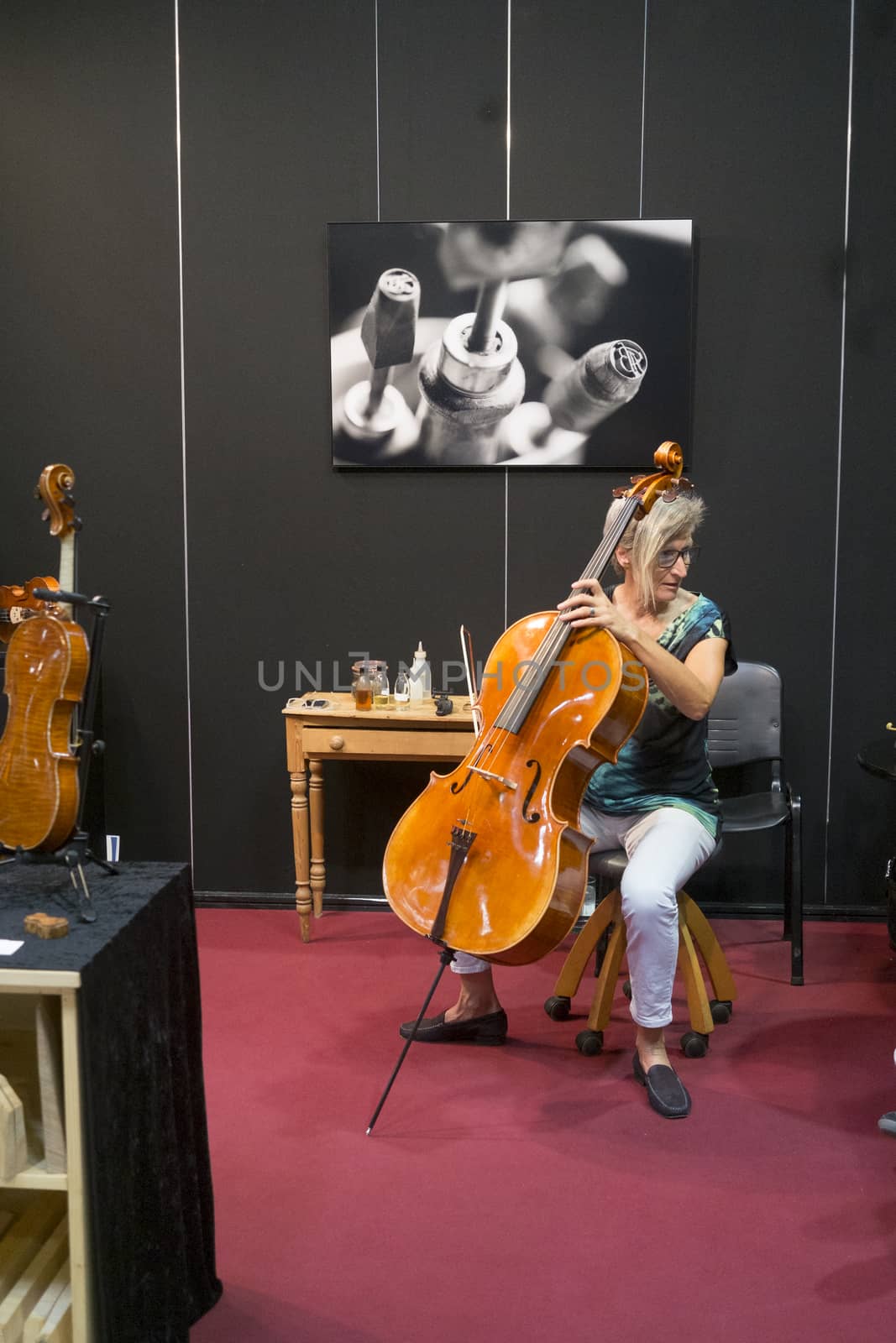 Cremona Mondomusica is a 3 day event being held from the end September to the firsts of October every year at the Cremona Fiere in Cremona, Italy.