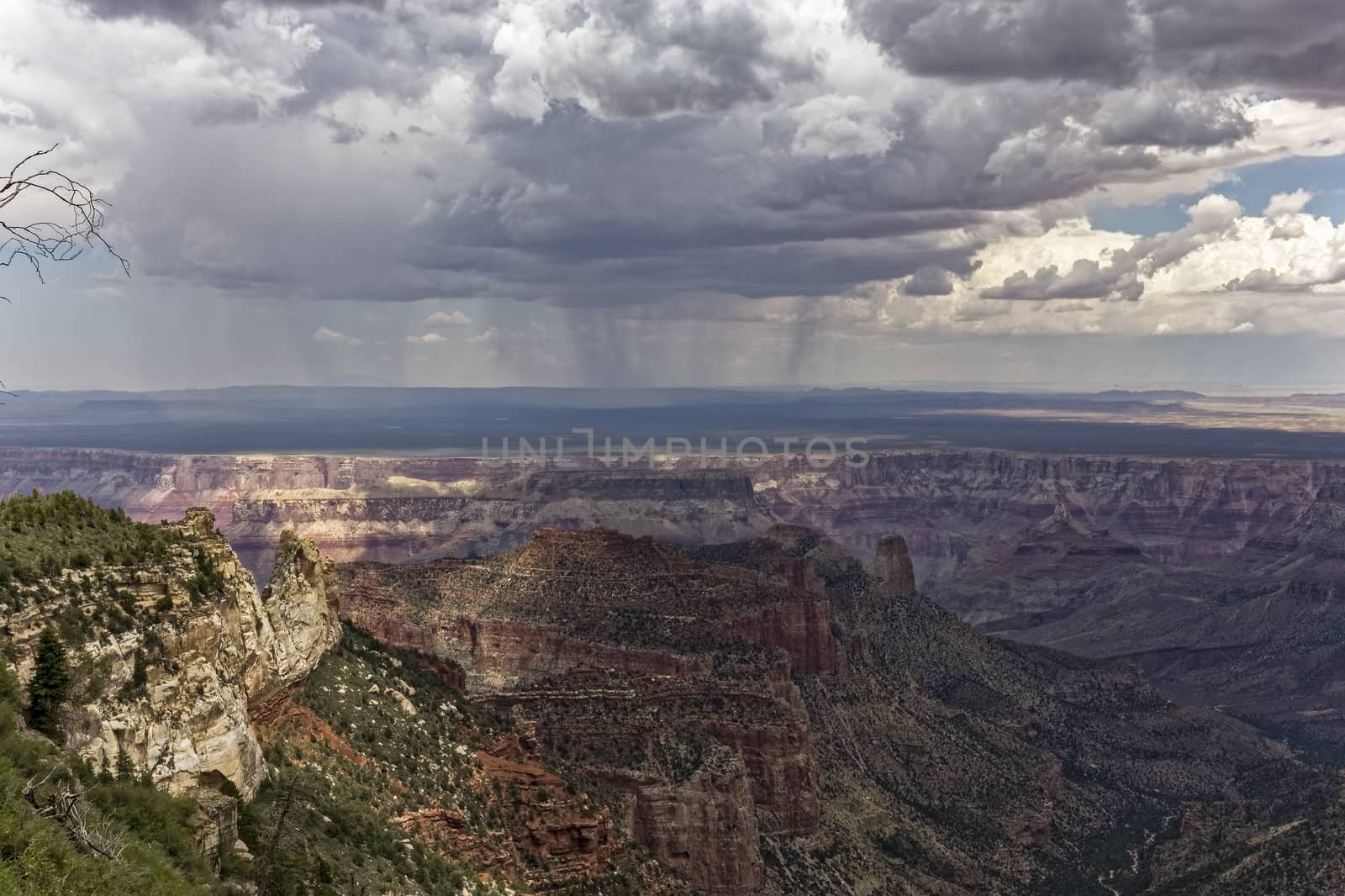 Spots of rain falling on a plateau at the Grand Canyon.
