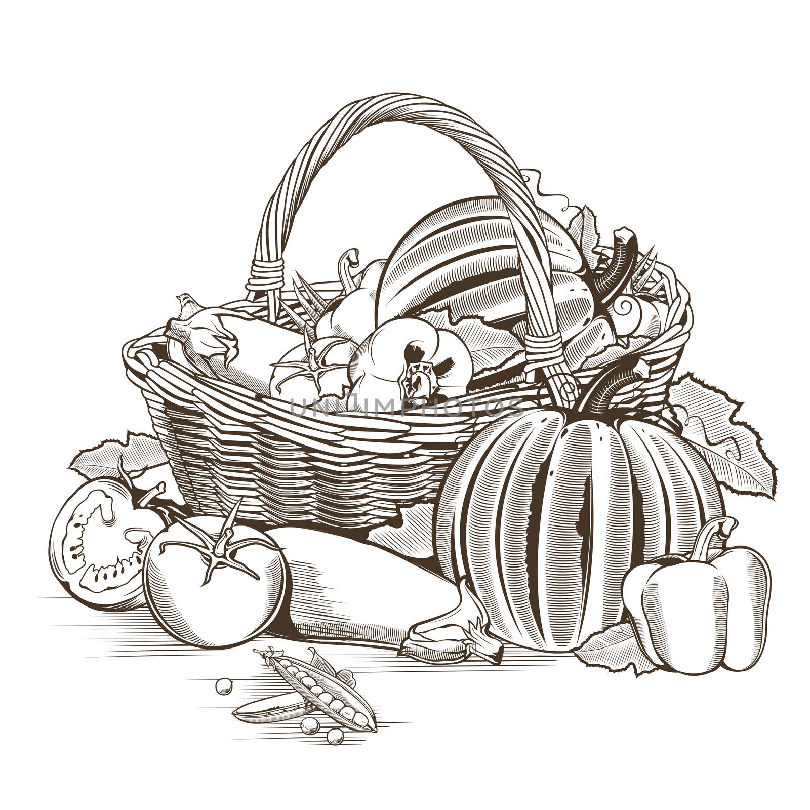 Vegetable basket on white background in woodcut style.