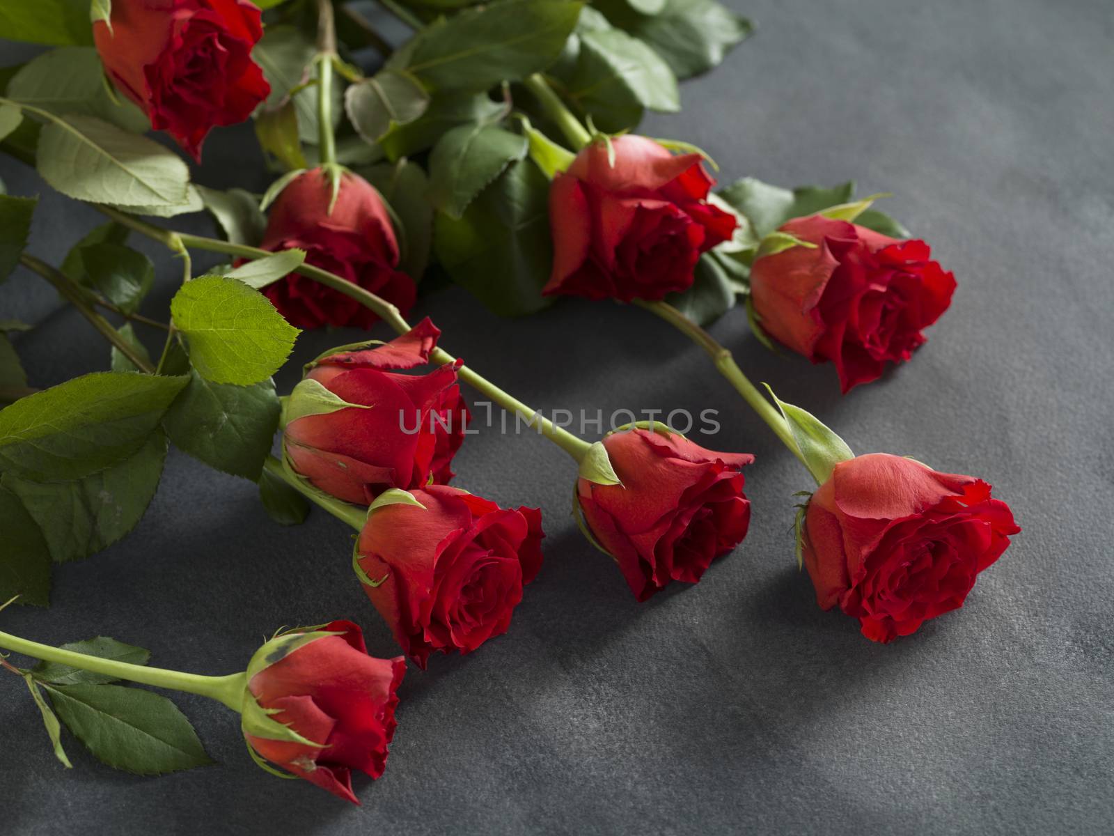 Beautiful bunch of roses on a grey background by janssenkruseproductions