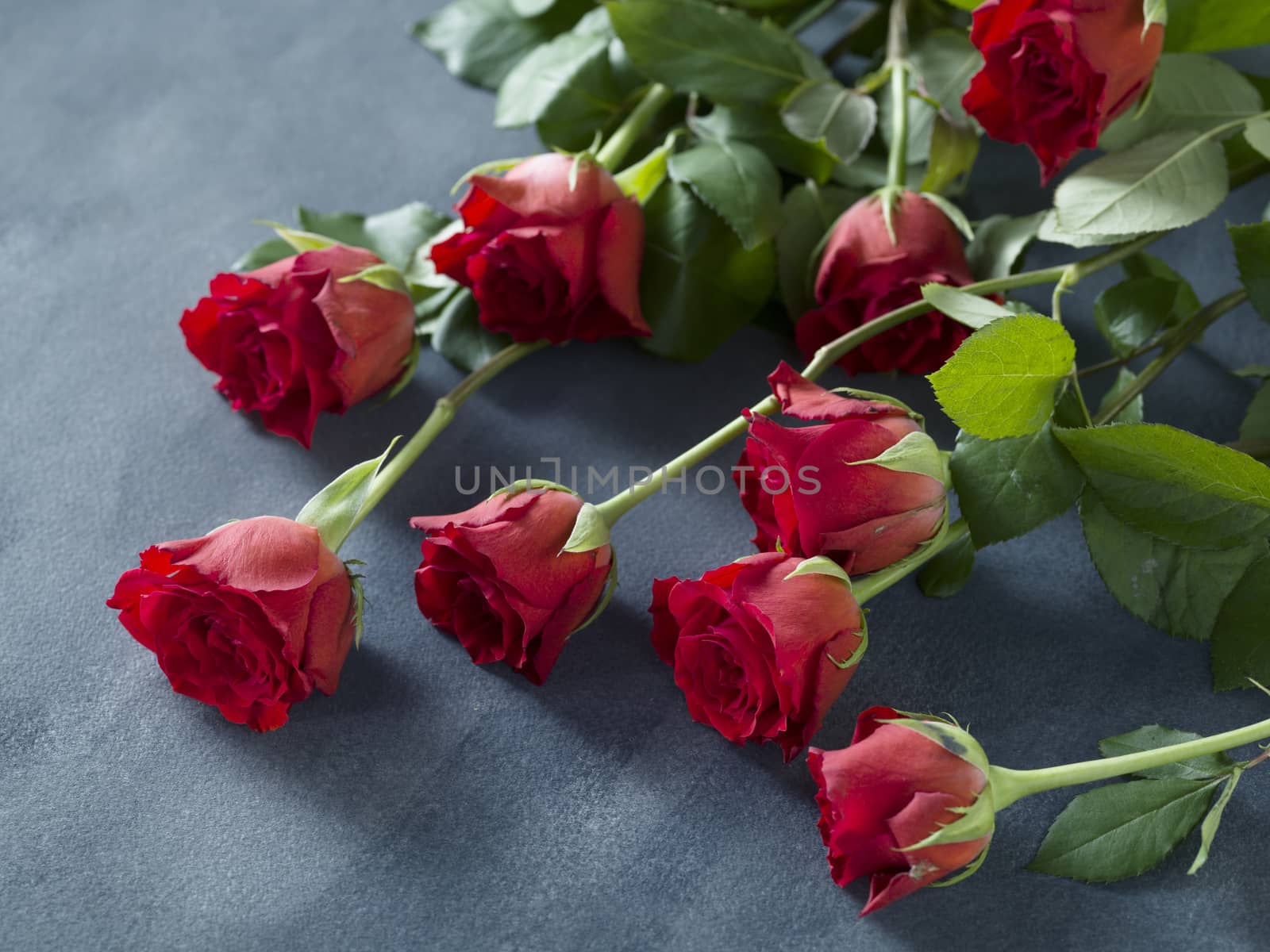 Greeting or wedding card with a bunch of red roses by janssenkruseproductions