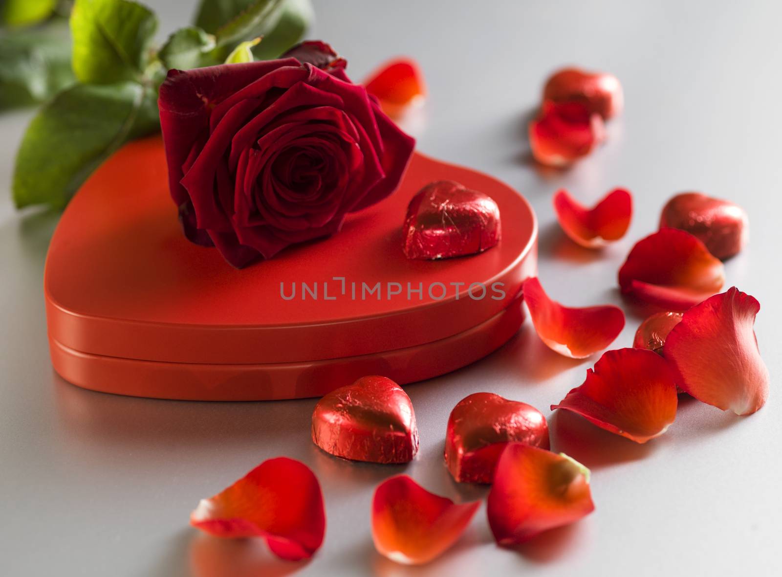 Red rose and box with red hearts on a white background. Valentines Day concept