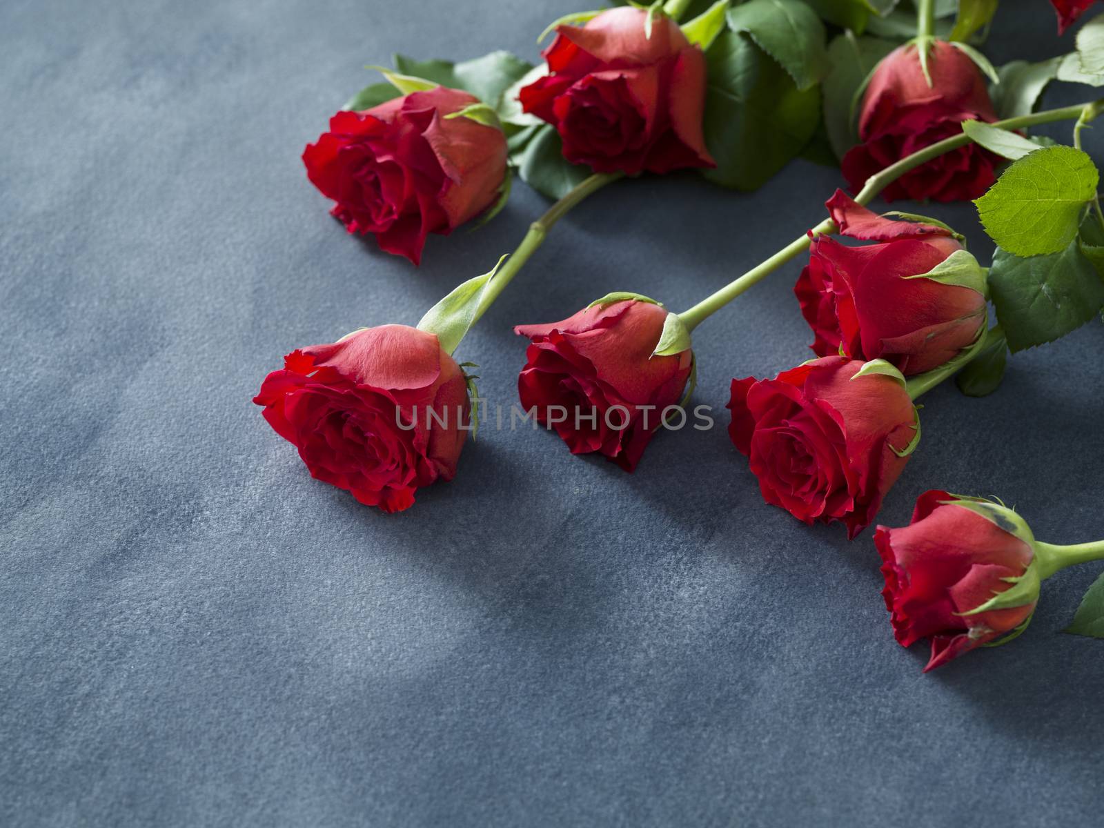 Fresh red roses on grey blue background. Valentine's day or wedding background
