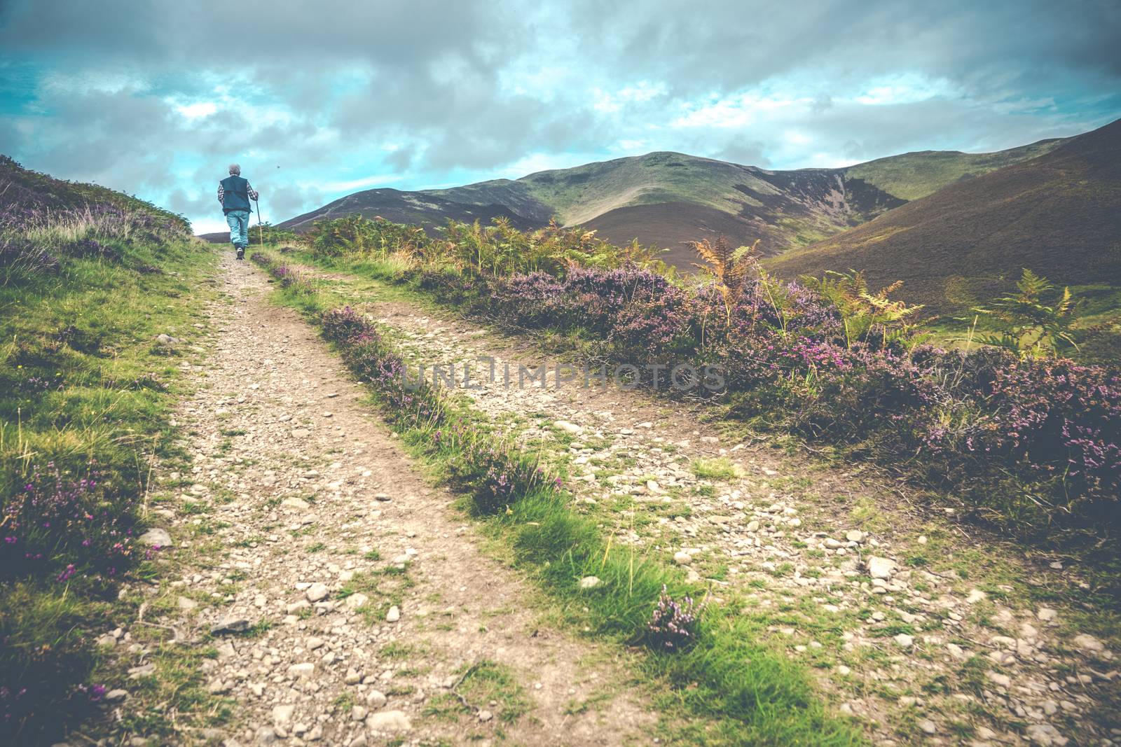 Vintage Style Image Of A Senior Man Hiking In The Scottish Countryside