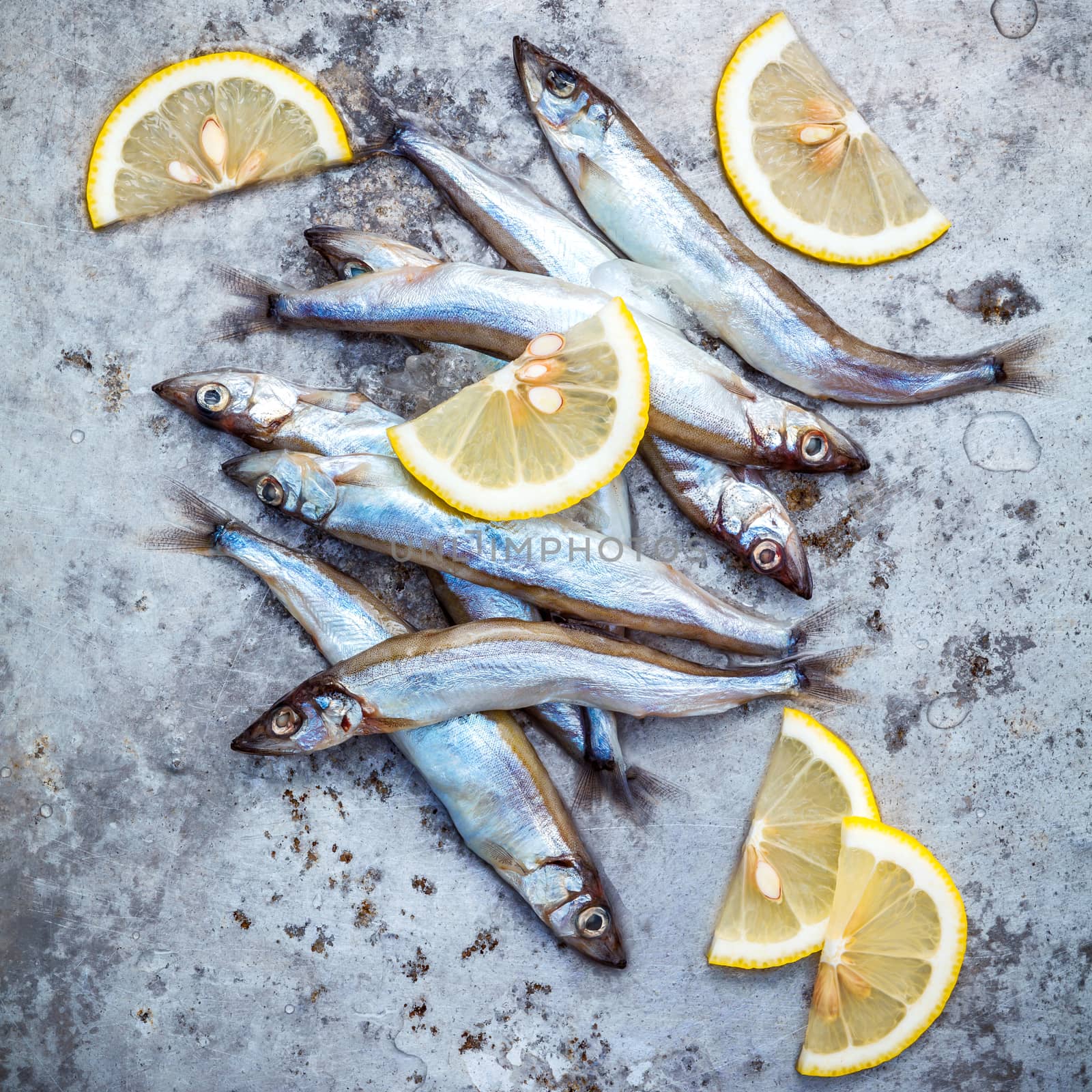 Fresh catch Shishamo fish fully eggs flat lay on shabby metal background. Shishamo fish is popular fish for Japanese cuisine cooking Tempura. Fresh Shishamo fish tempts buyers at fresh seafood stall.