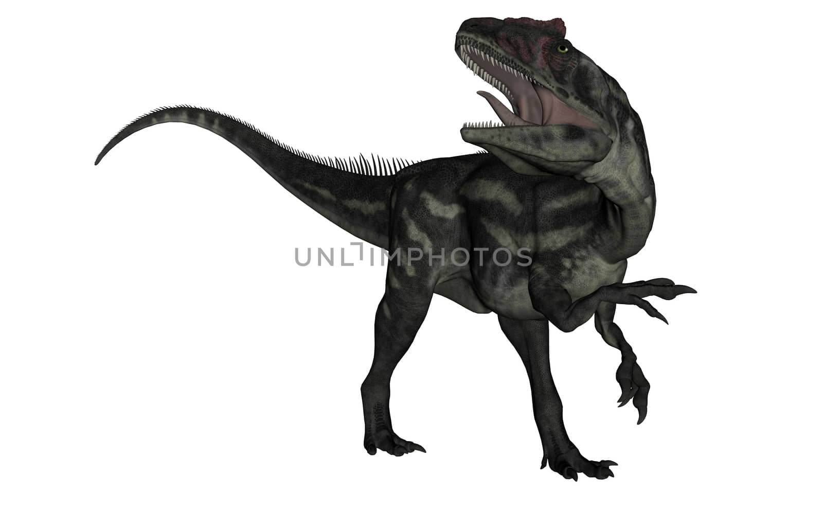 Allosaurus dinosaur roaring - 3D render by Elenaphotos21