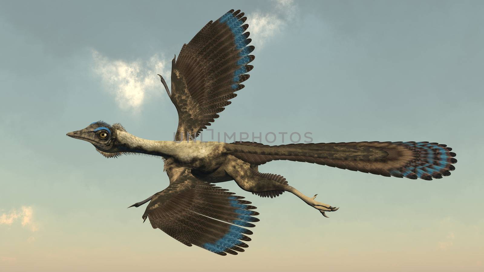 Archaeopteryx birds dinosaurs flying - 3D render by Elenaphotos21