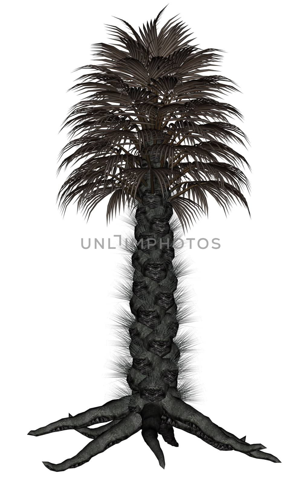 Palmtree, palm tree - 3D render by Elenaphotos21