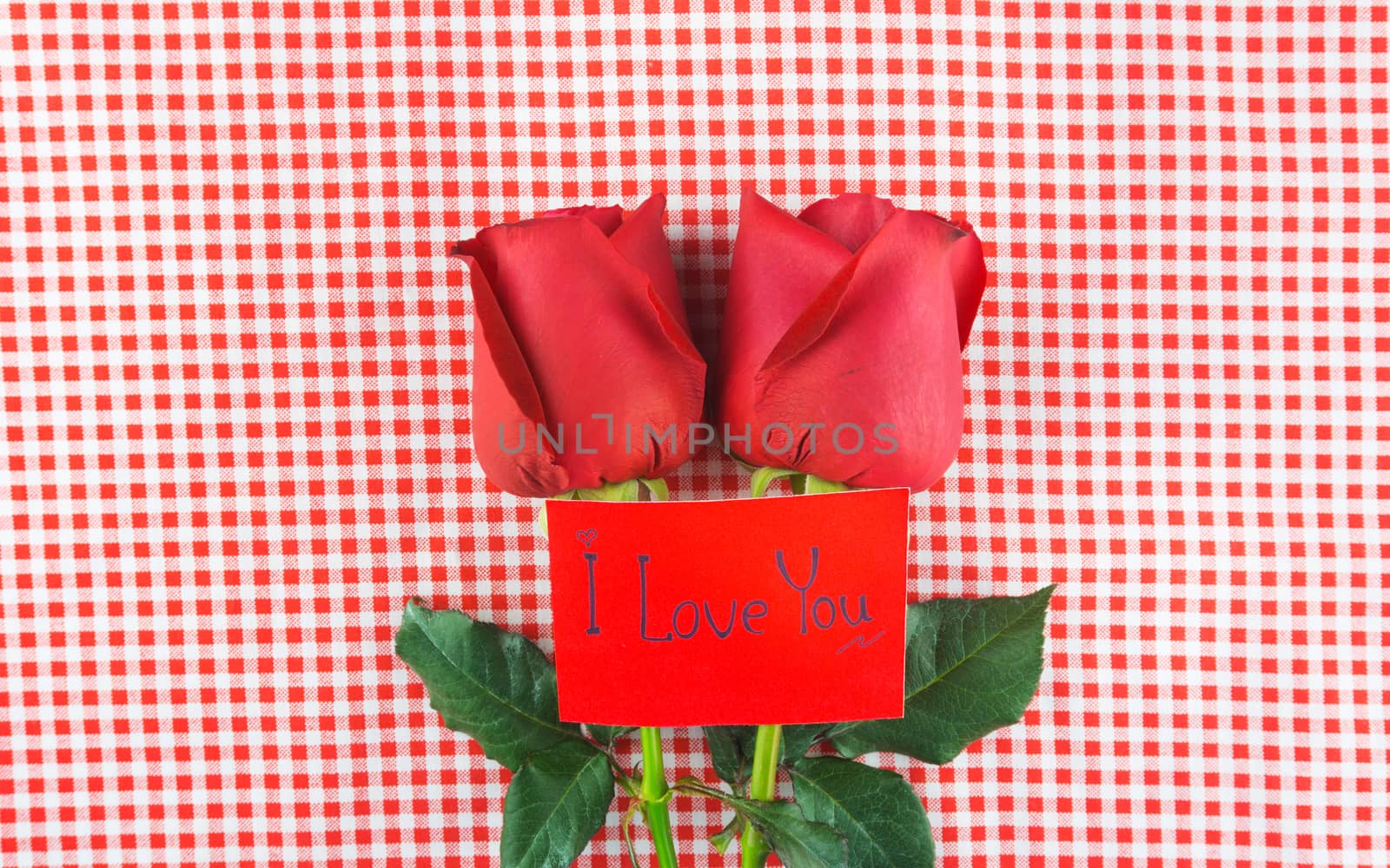 Red rose with message card Image of Valentines day by nopparats