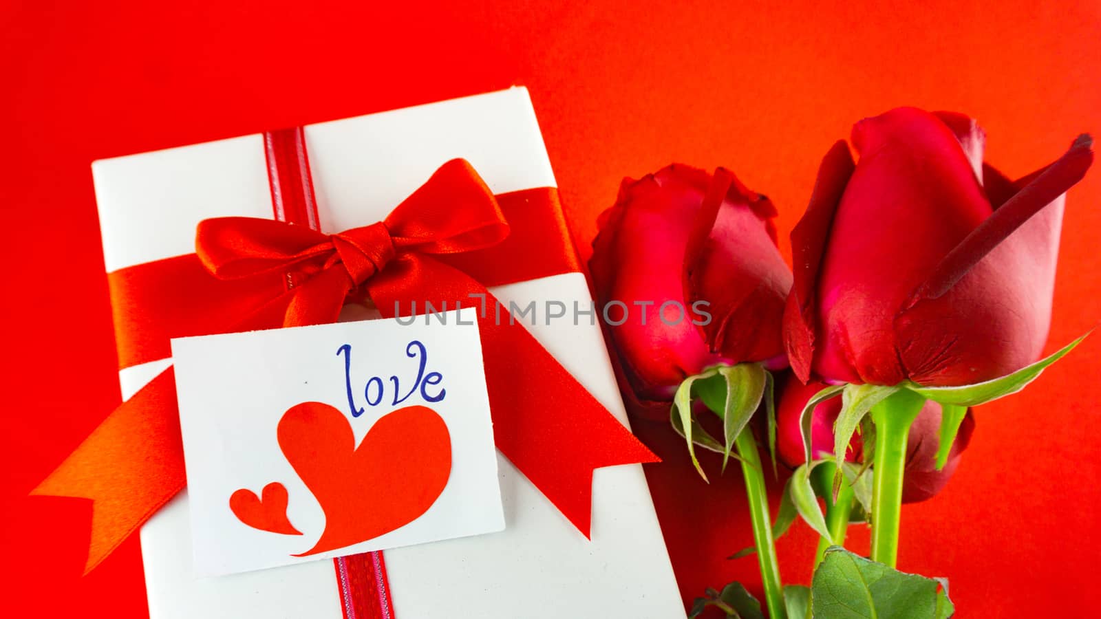 Red rose with message card. Image of Valentines day.