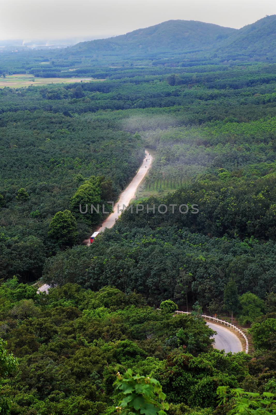 Amazing landscape from high view of road through jungle at Lam Dong, Vietnam, overview green scene with vehicle move on dust path to cross mountain pass of forest