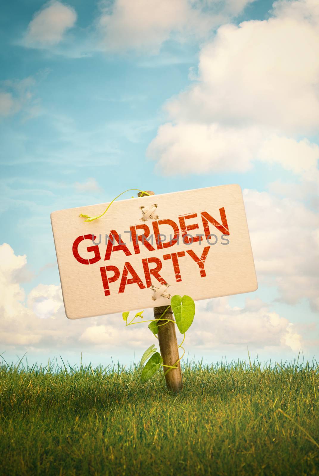 Wooden sign with the text Garden Party over natural background with grass and blue sky with clouds , Event concept, vertical image.