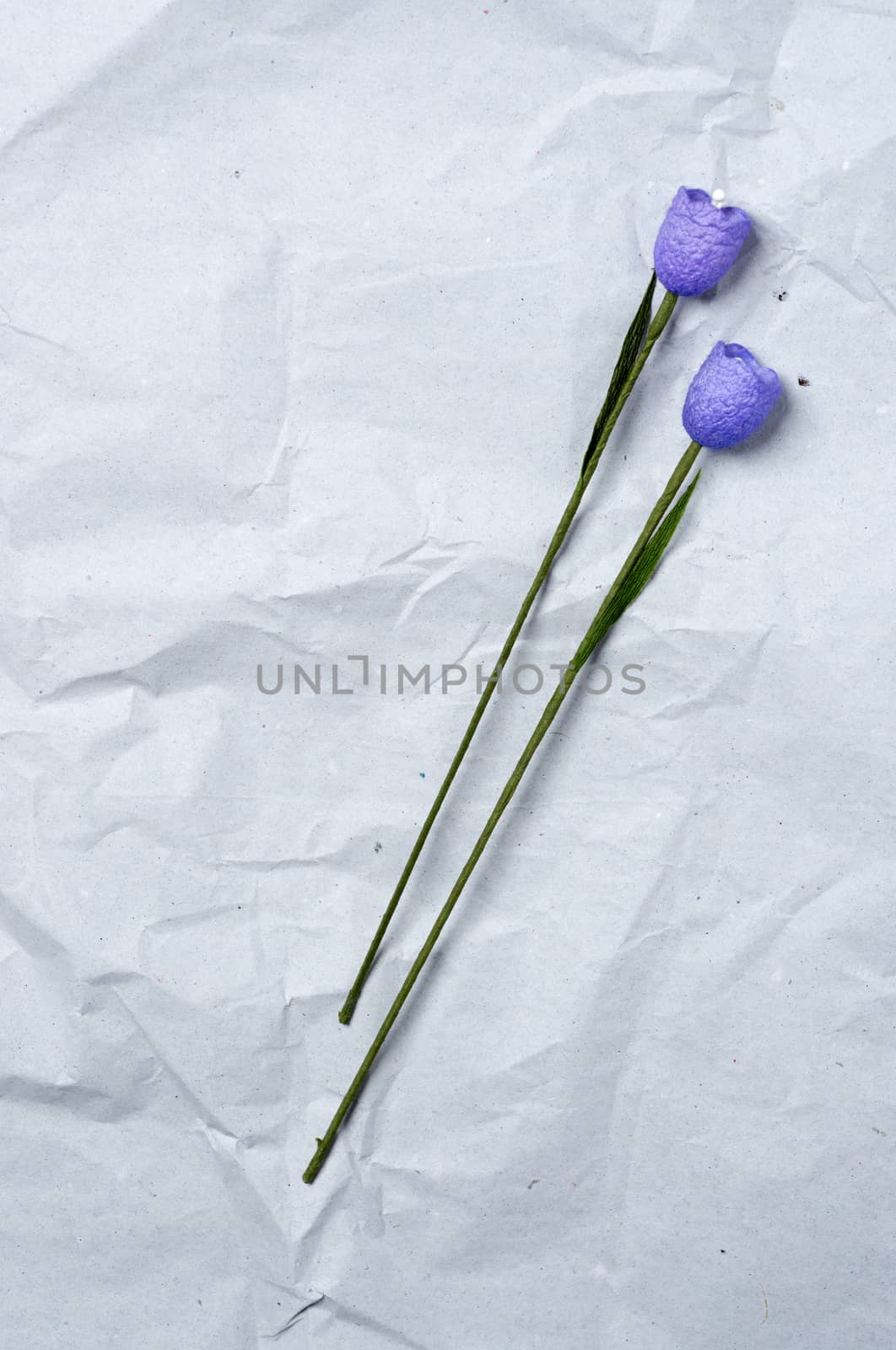Two violet flowers on a recycled paper as a back ground.