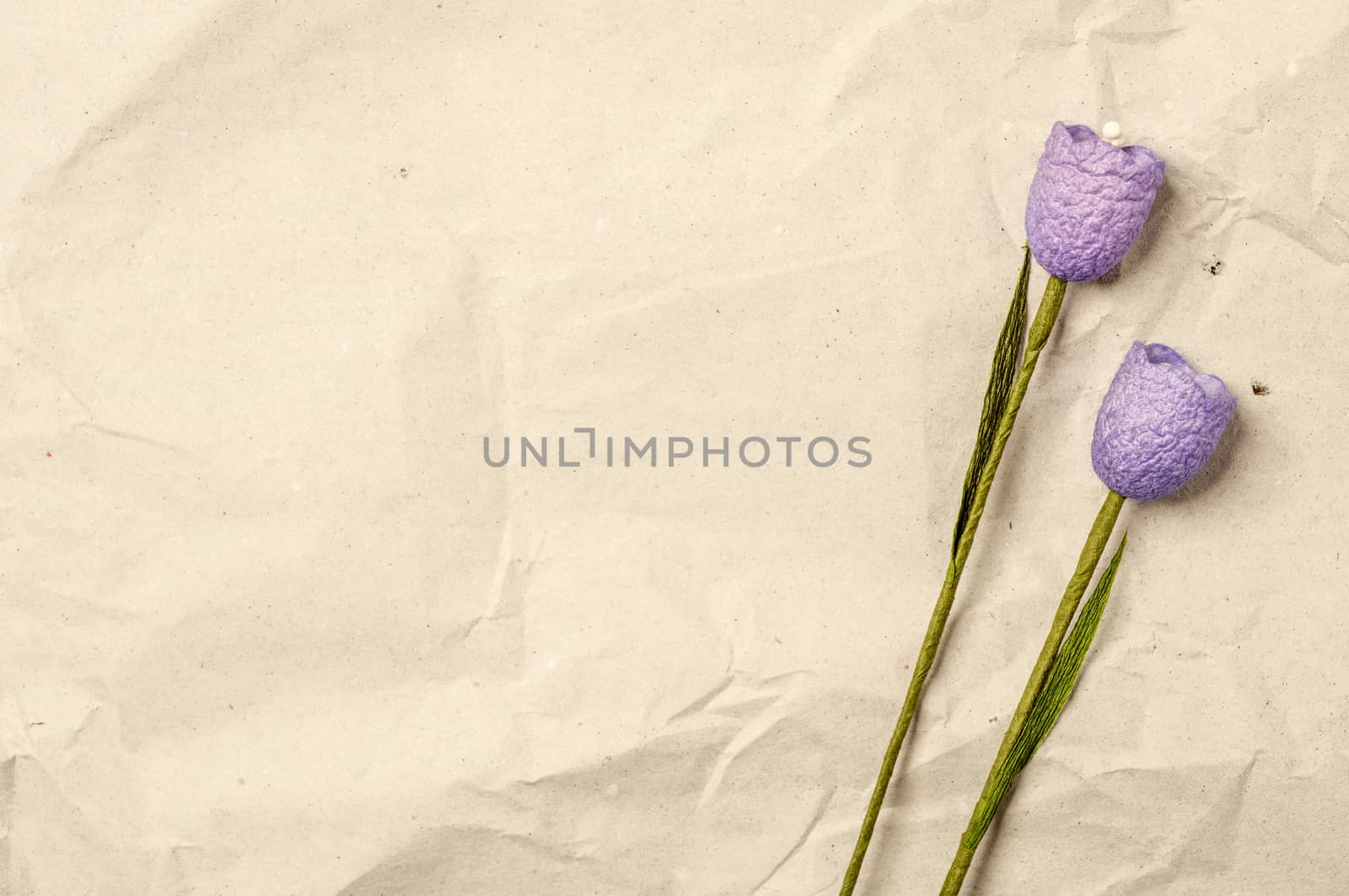 Two violet flowers by verbano