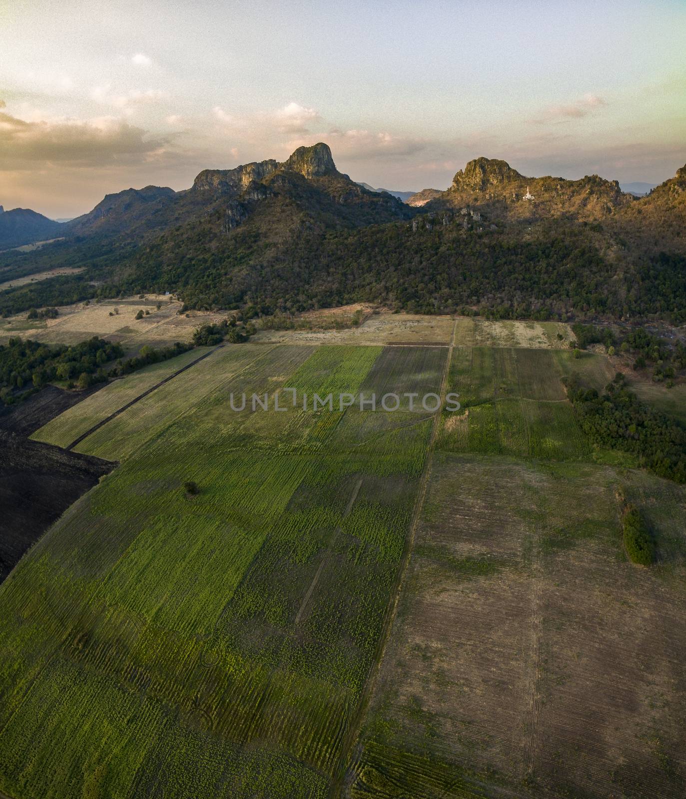 aerial view of agricultural field in lopburi central of thailand by khunaspix