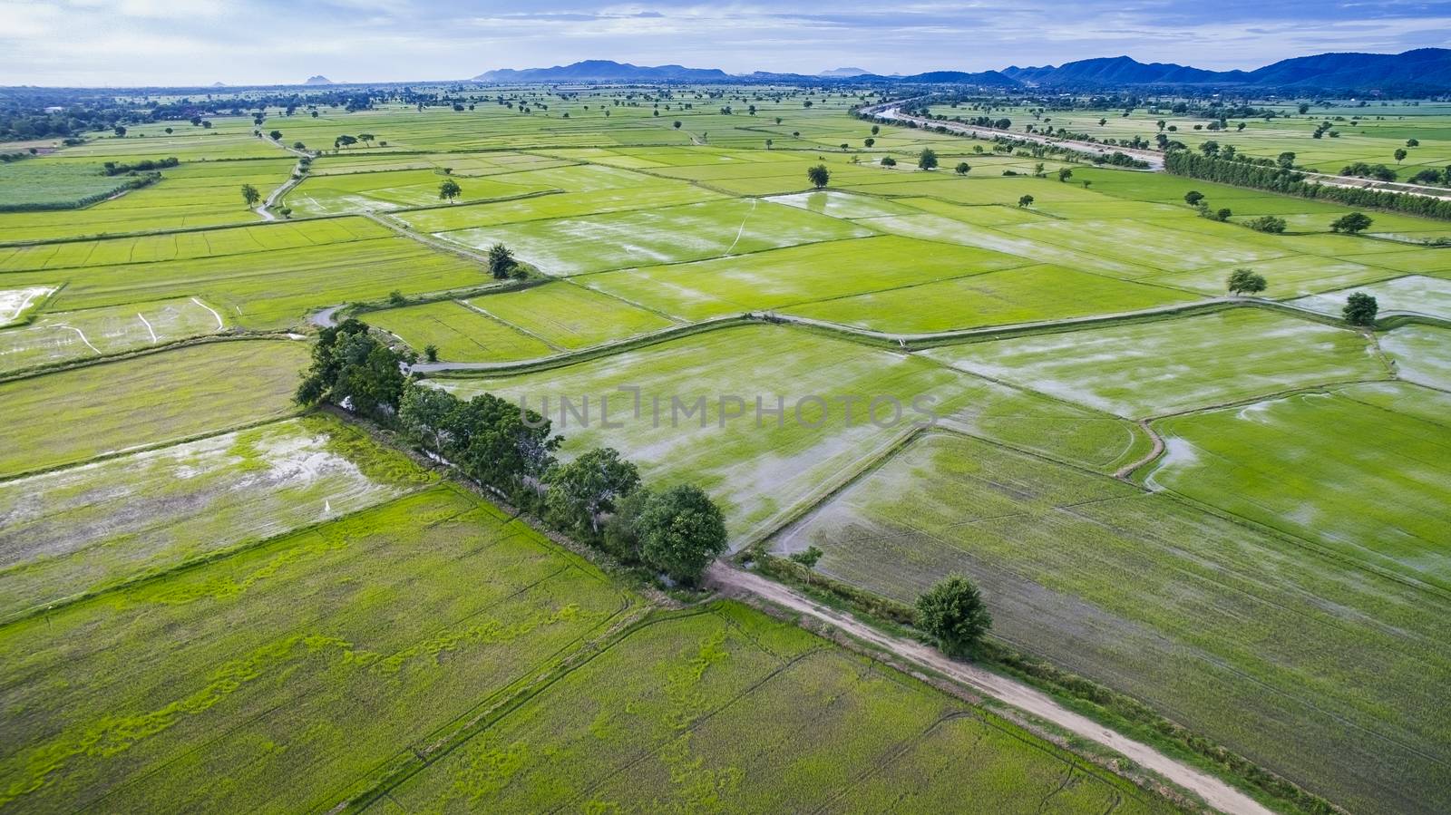 aerial view of rice paddy field in kanchanaburi thailand by khunaspix