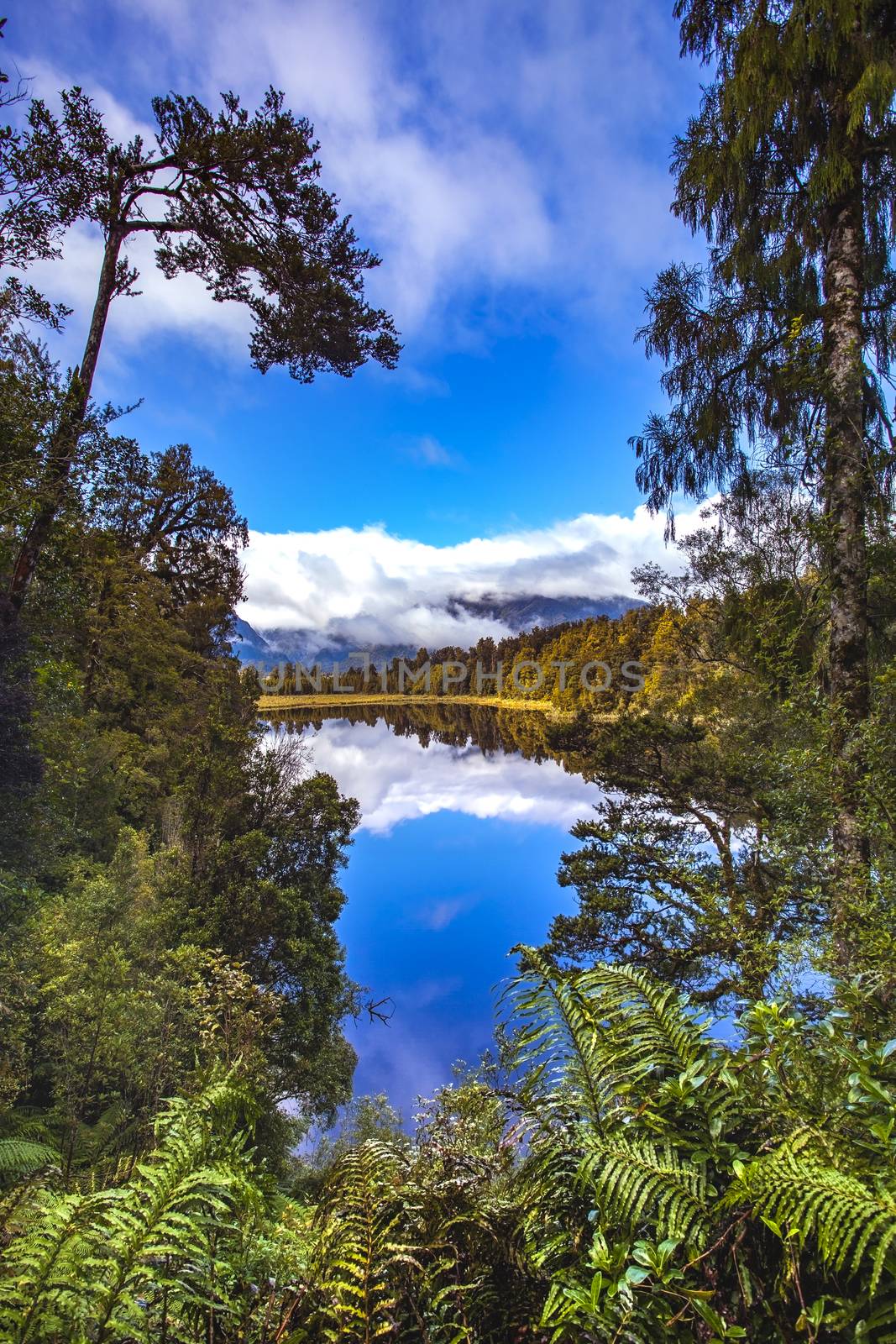 reflection scenic of lake matheson in south island new zealand