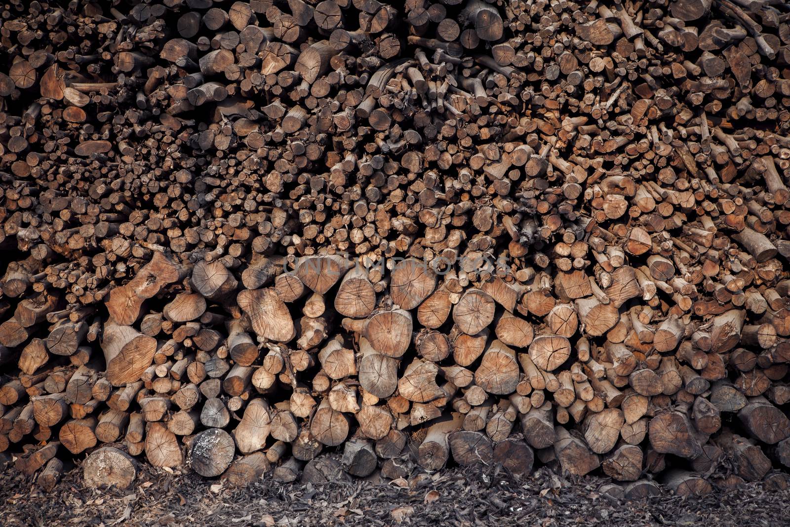 stack of mangrove wood for making cooking charcoal