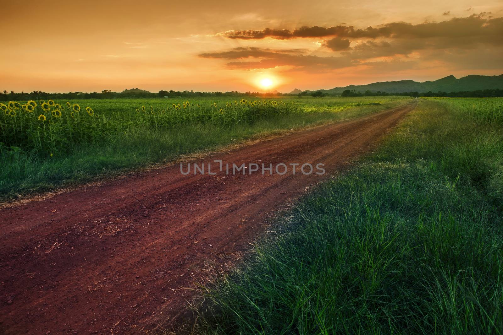 country road to mountain and sunset sky in agriculture field lopburi thailand
