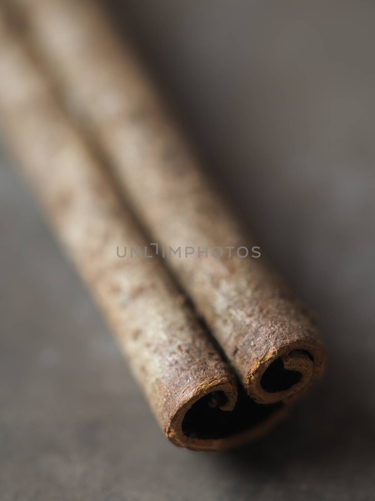 close up of rustic cinnamon bark