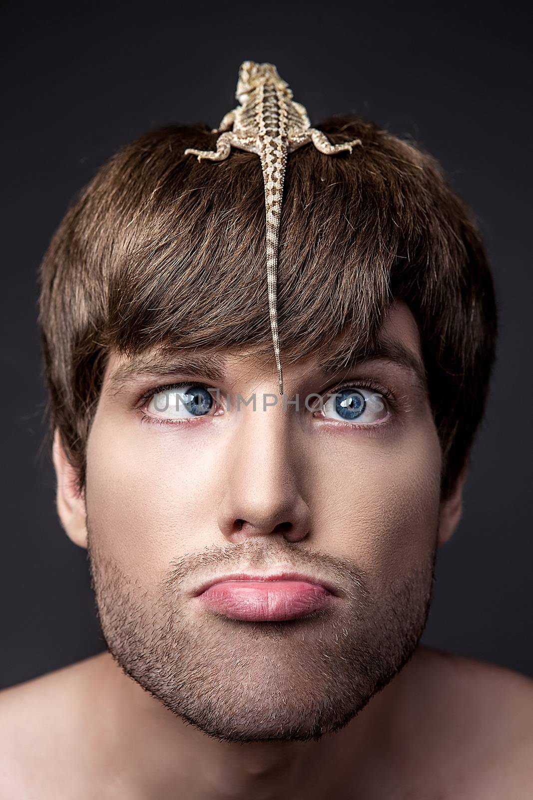 Portrait of a Young Handsome Man with Lizard on His Face by Multipedia