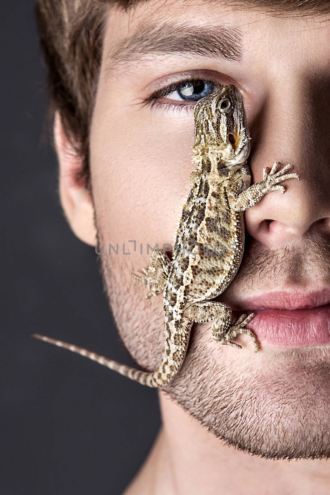 Portrait of a Young Handsome Man with Lizard on His Face by Multipedia