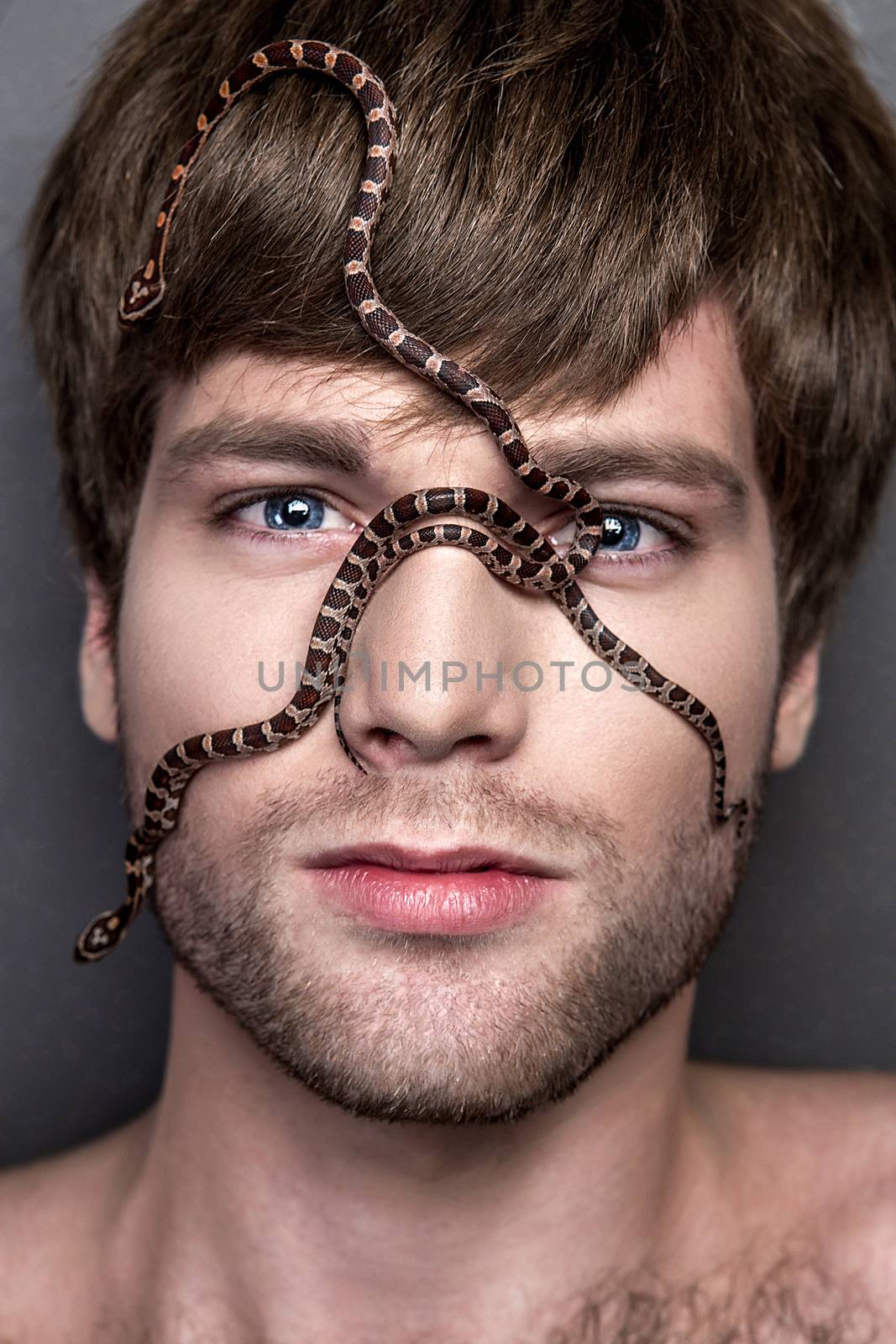 Portrait of a Young Handsome Man with Snake on His Face by Multipedia