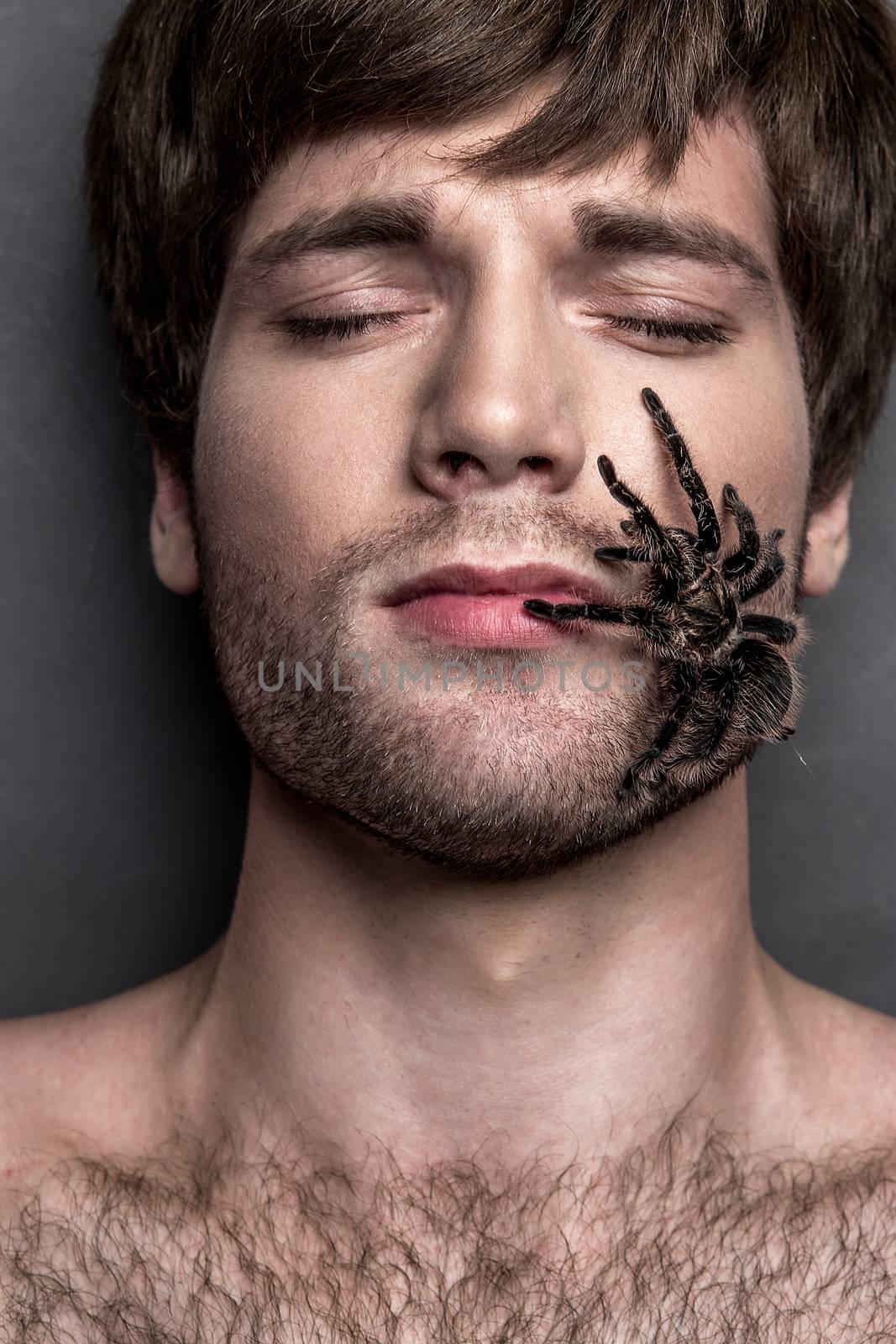 Portrait of a Young Handsome Man with Spider on His Face by Multipedia