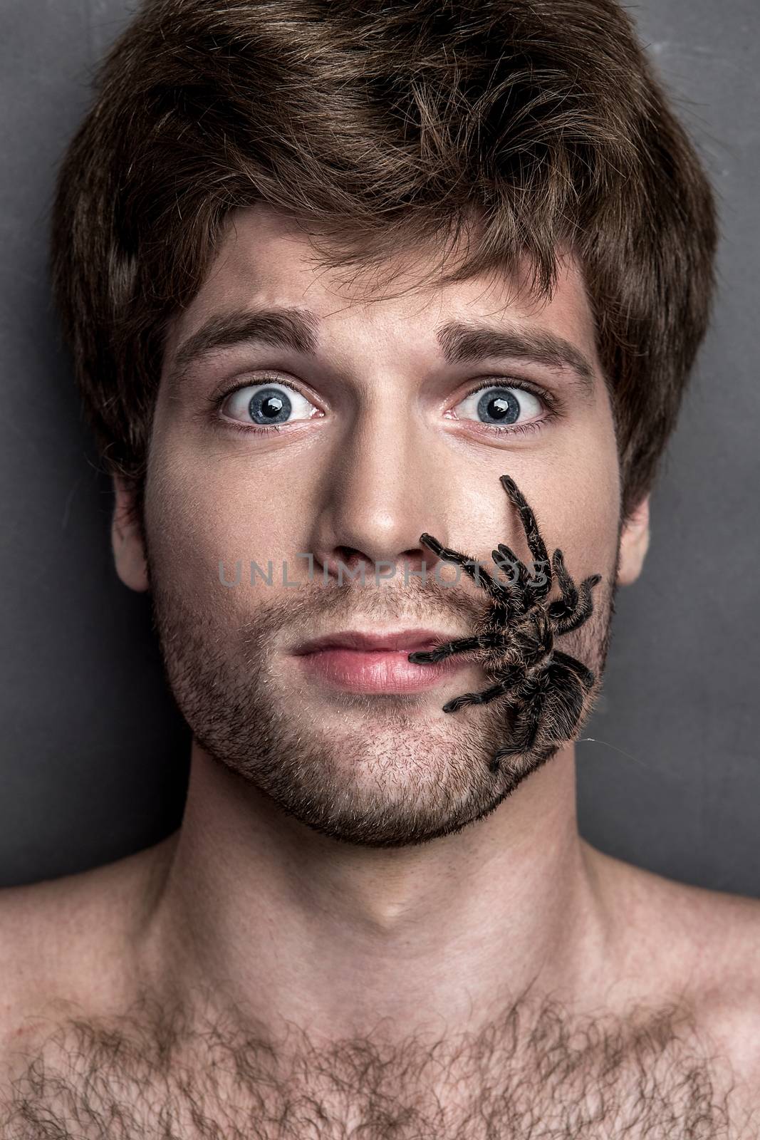 Portrait of a Young Handsome Man with Big Spider on His Face