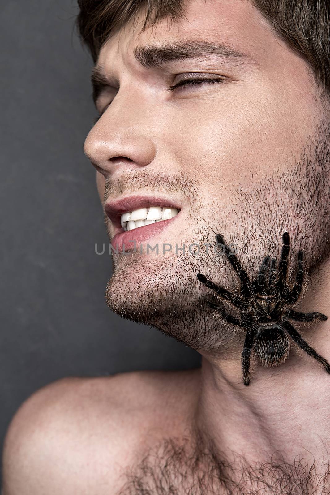 Portrait of a Young Handsome Man with Big Spider on His Face