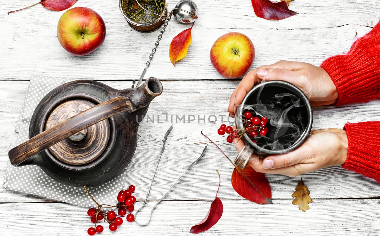 Hot cup of autumn tea with berries in his hands.Still life with kettle,berries and apple