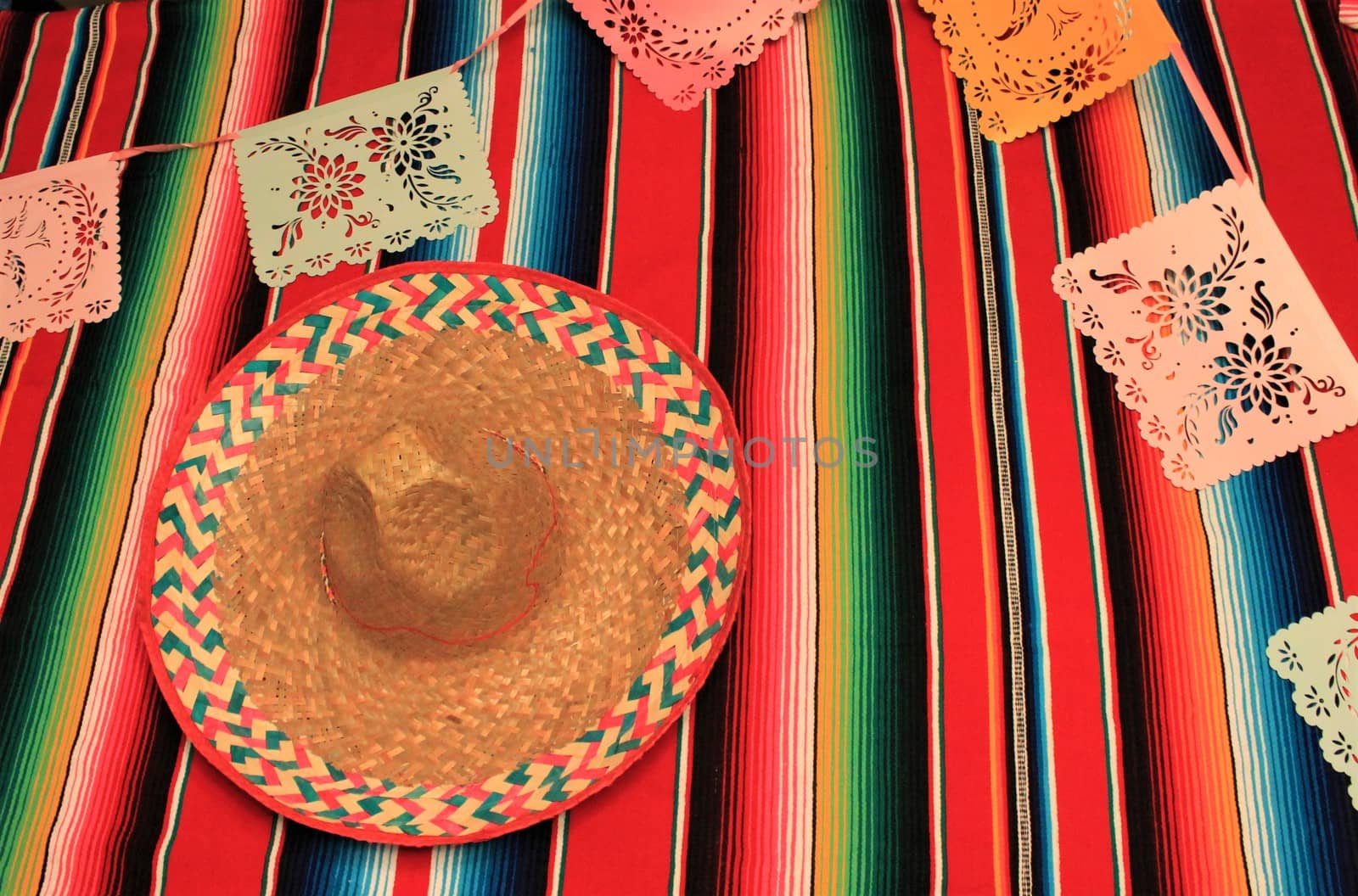 Mexico poncho sombrero skull background fiesta cinco de mayo decoration bunting  by cheekylorns