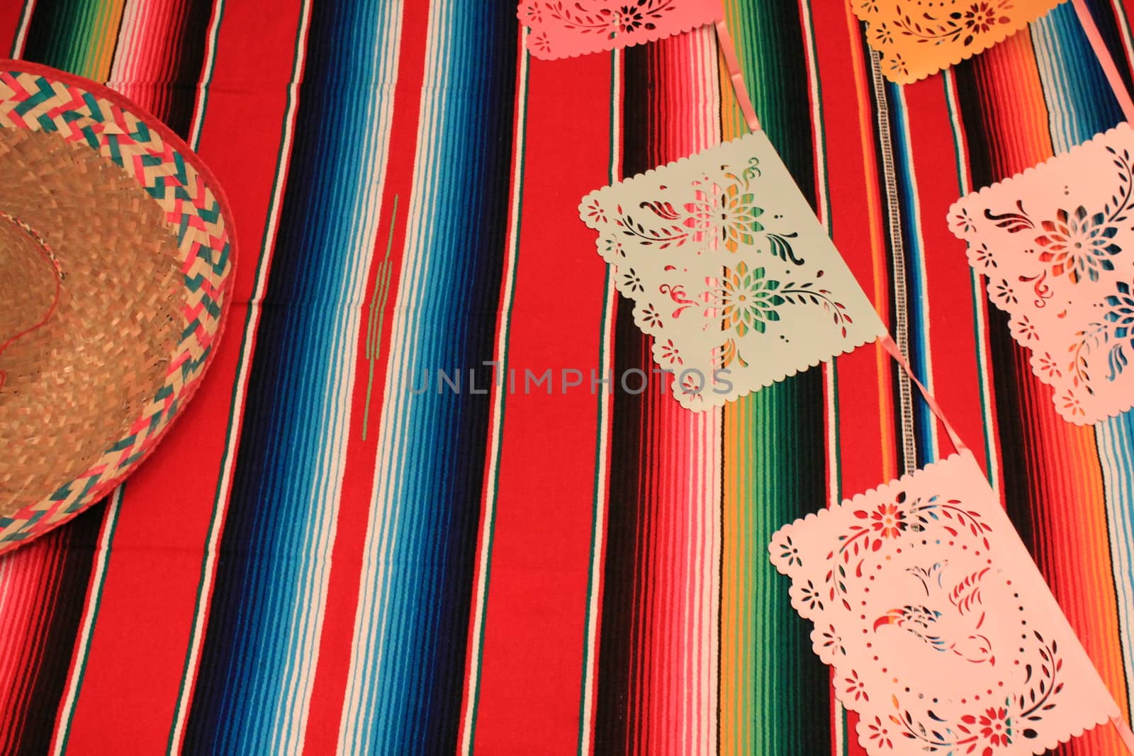 Mexico poncho sombrero skull background fiesta cinco de mayo decoration bunting  by cheekylorns