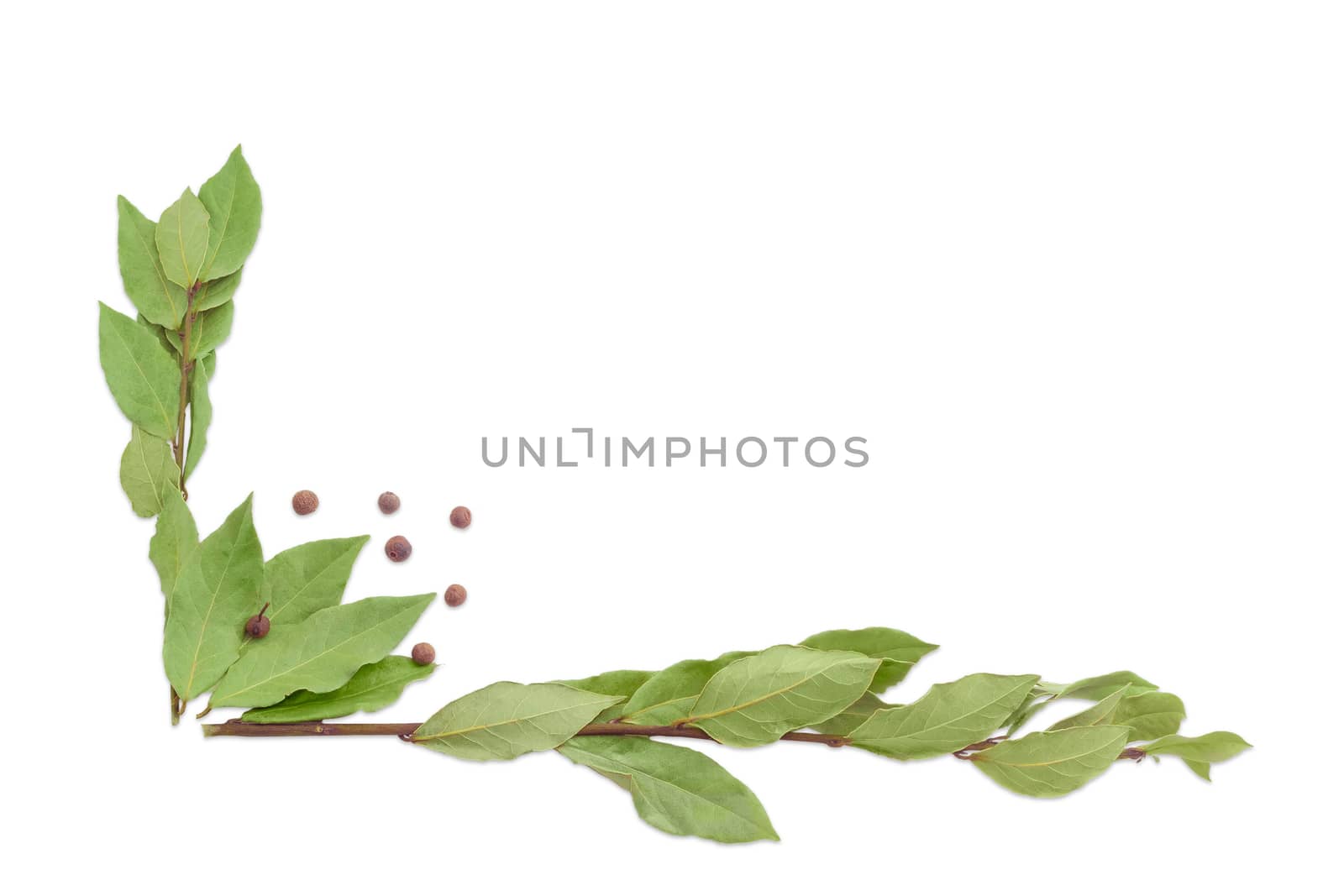 Two branches with dried bay leaves on the left and at the bottom with an empty space in the center and a few peas allspice on a light background
