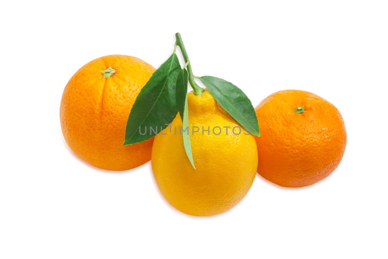 One fresh yellow lemon with twig and leaves, mandarin and orange on a light background
