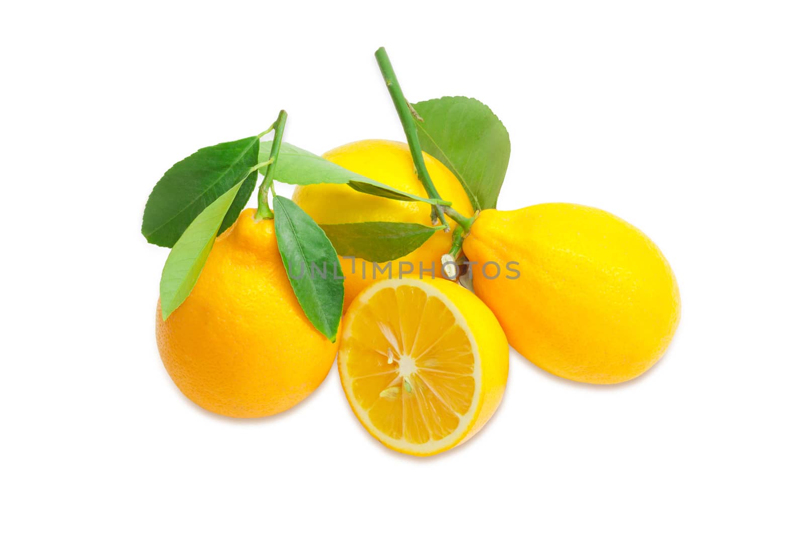 Several whole lemons with leaves and one cut lemon by anmbph