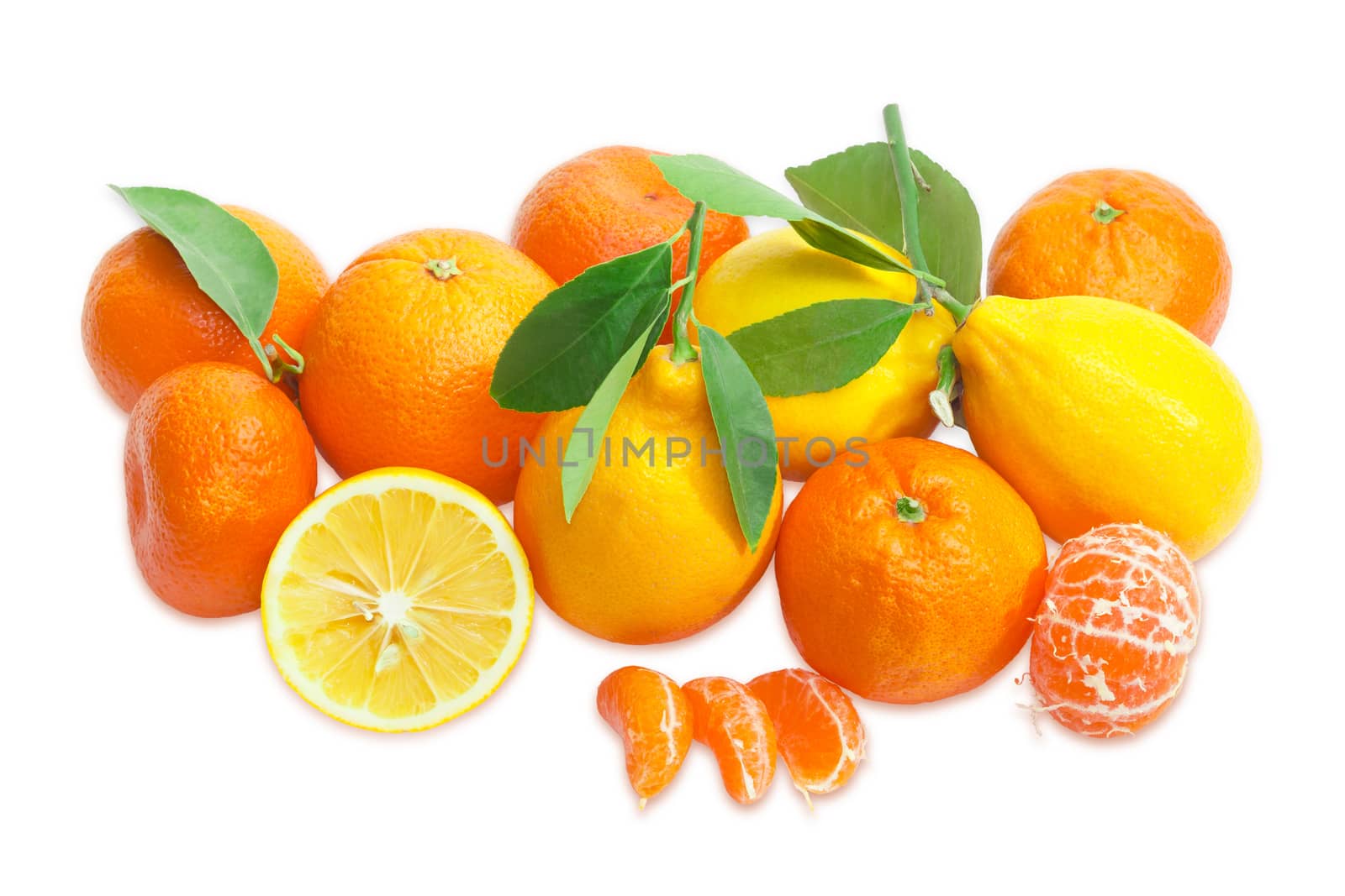 Several mandarin oranges, lemons and  oranges on a light backgro by anmbph