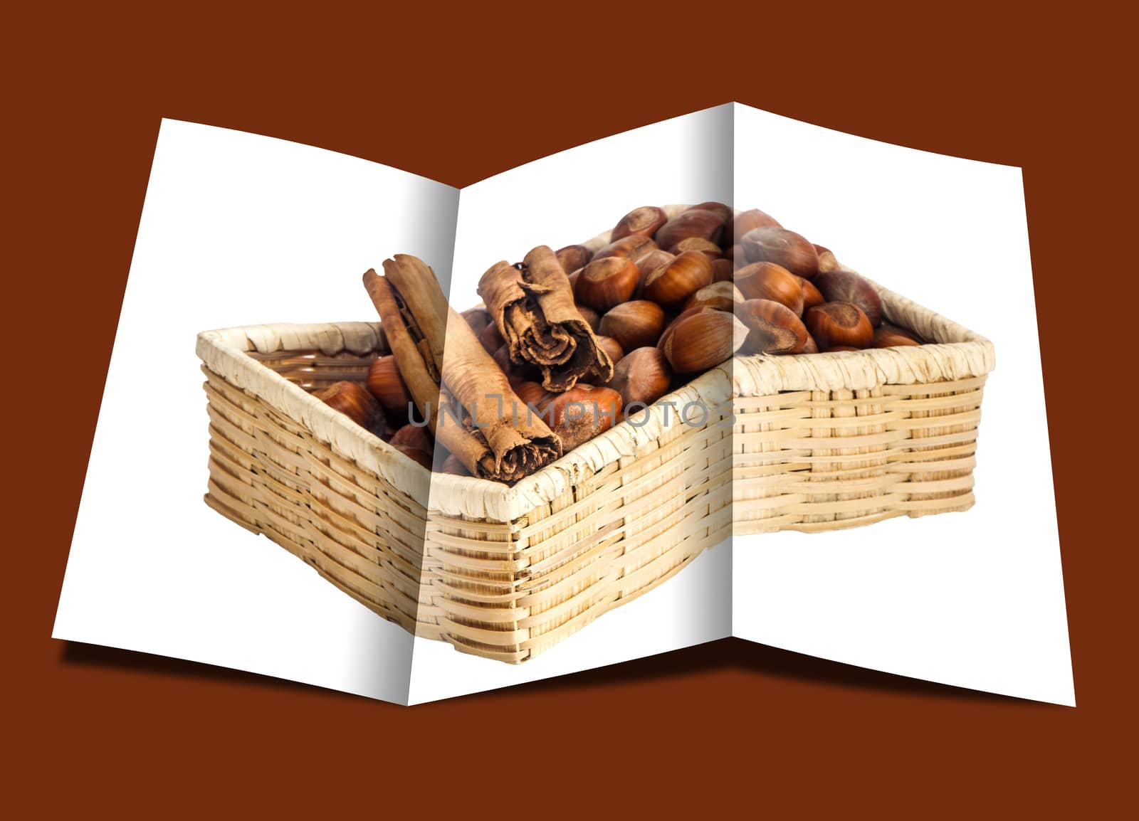 brochure of  hazelnuts  over a colour background