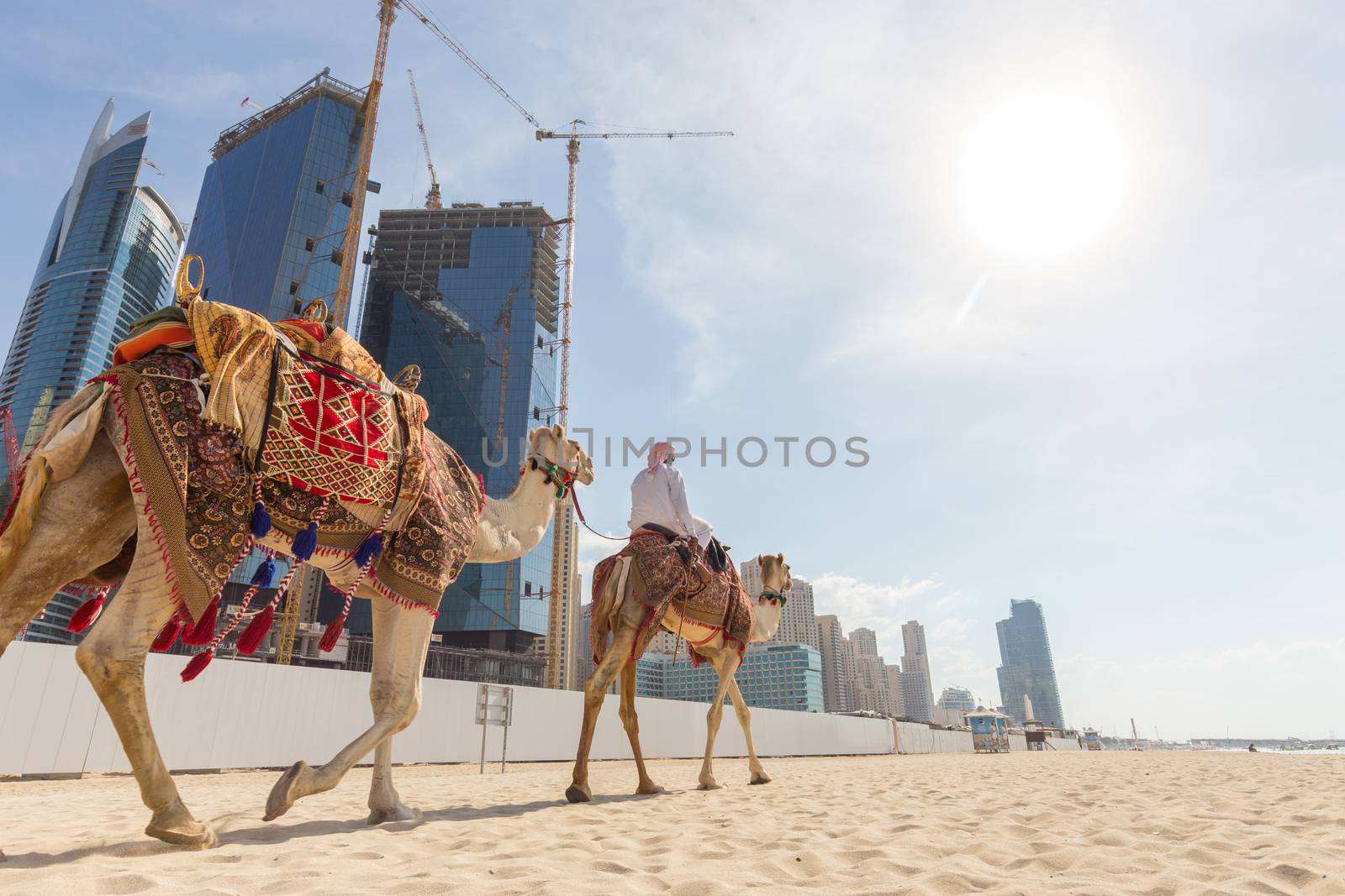 Tour guide offering tourist camel ride on Jumeirah beach on in Dubai, United Arab Emirates. Luxury Dubai Marina skyscrapers in background.