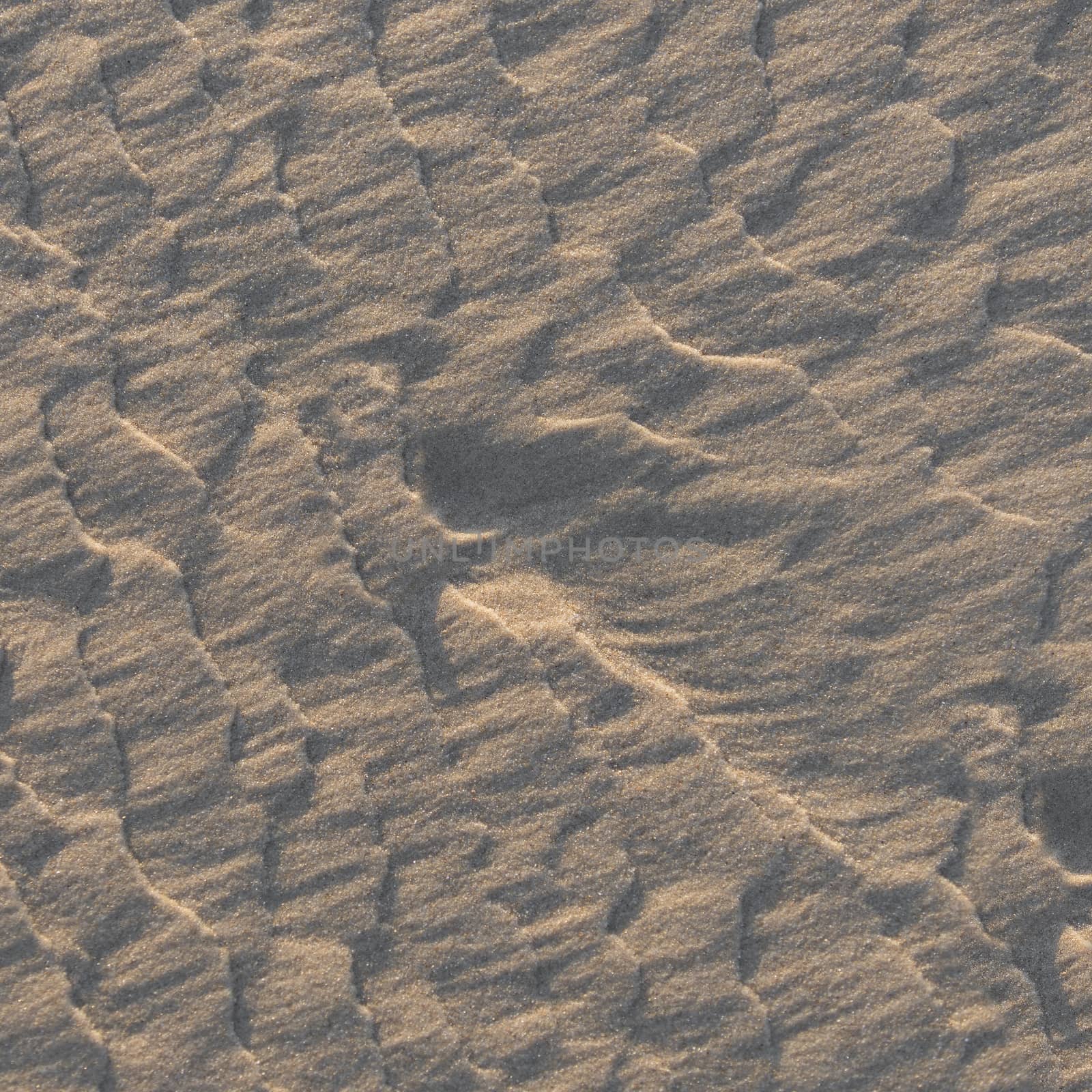 abstract background the texture of wet sand