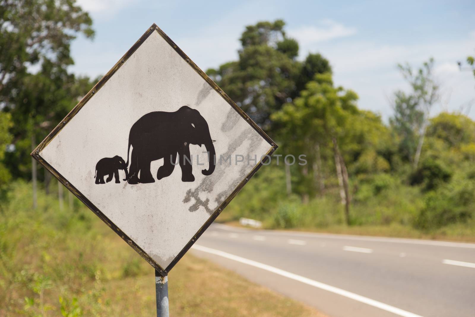 Unusual road sign in Sri Lanka. Caution, elephants crossing the road.
