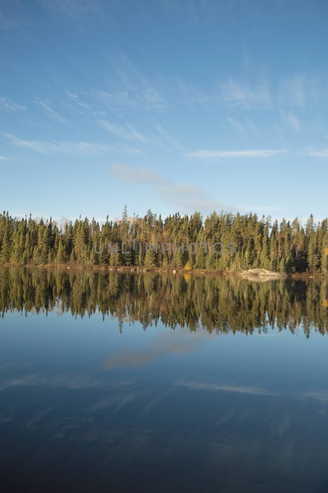 Dead calm lake in early morning with reflections of conifers and wispy cirrus clouds